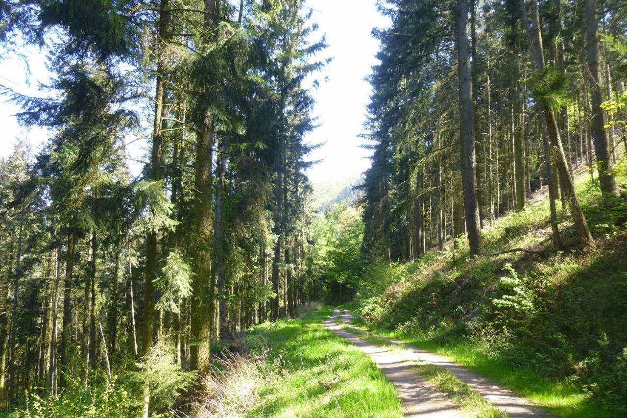 Ferienwohnung Moselschiefer Neu Ab Mai 2023 Traben-Trarbach Exterior foto