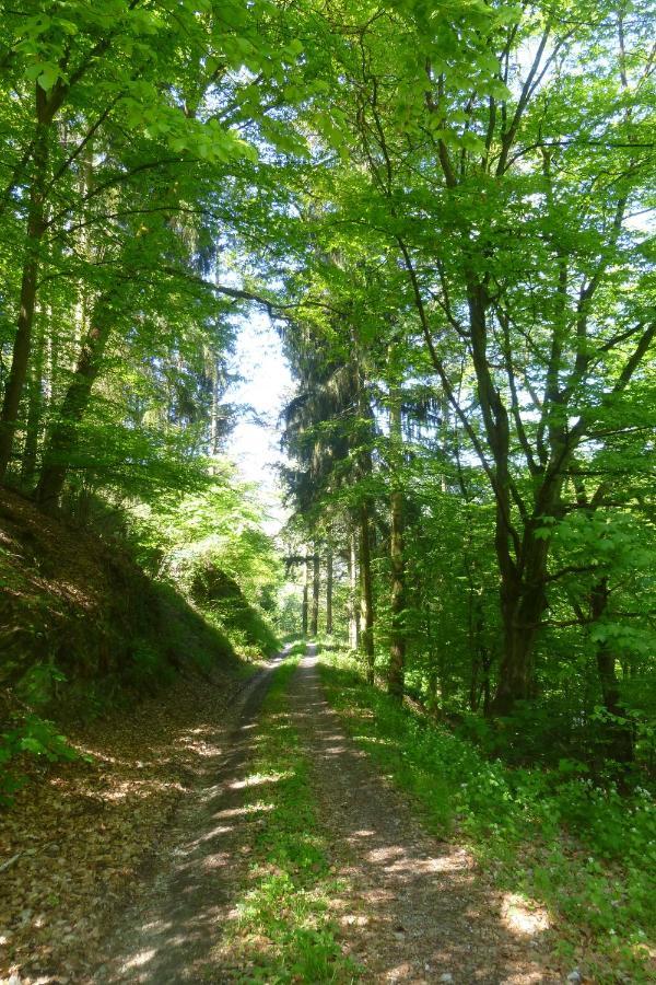 Ferienwohnung Moselschiefer Neu Ab Mai 2023 Traben-Trarbach Exterior foto